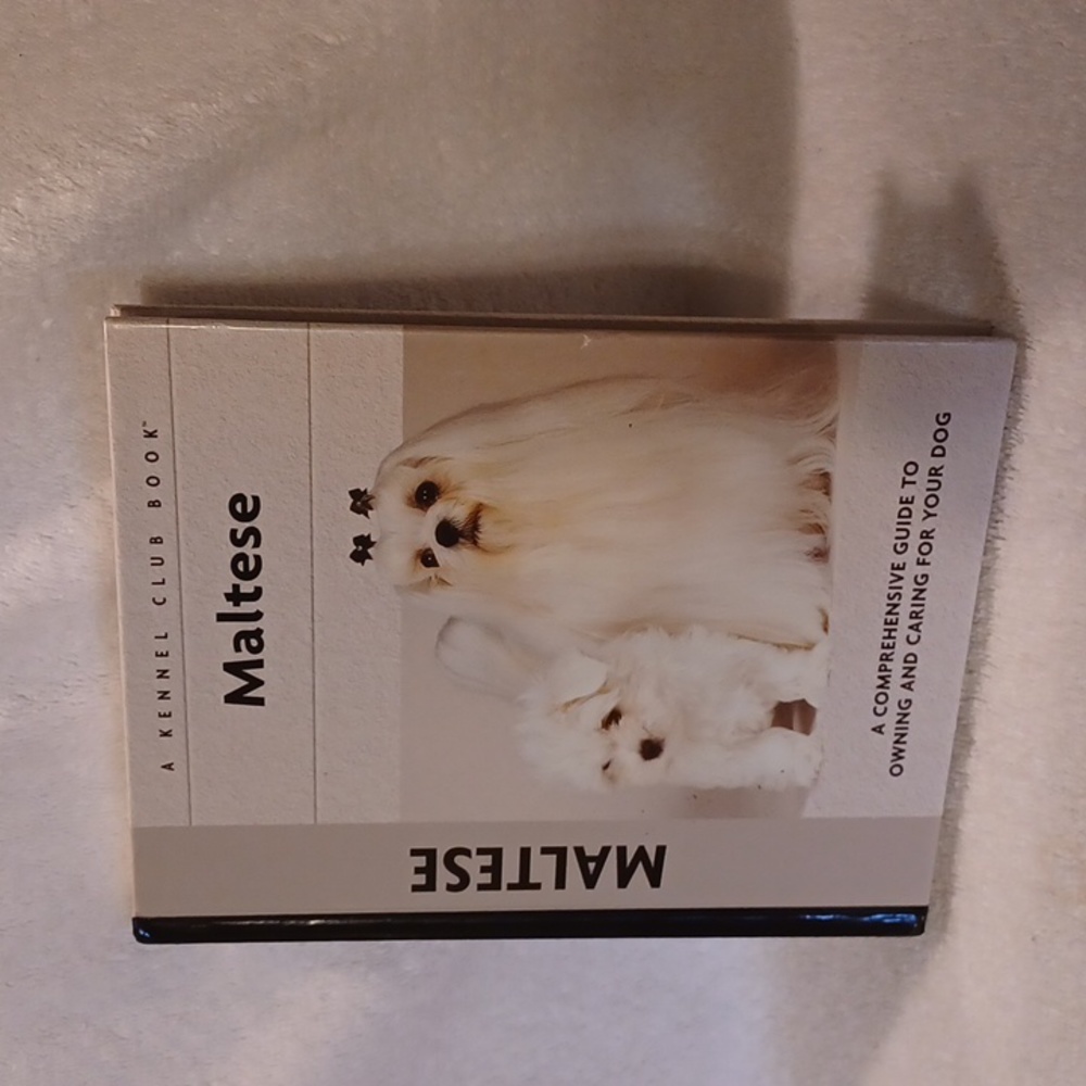 Maltese Guide to owning & caring for you dog